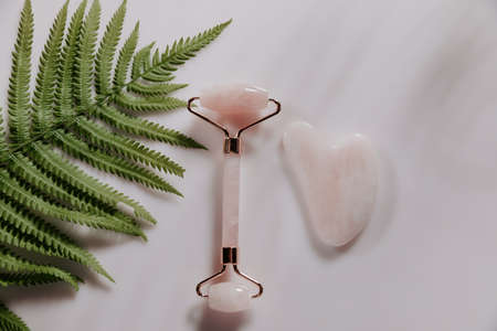 Massage roller and Gua sha massage scraper with a tropical fern leaf. Top view. Scincare conceptの写真素材