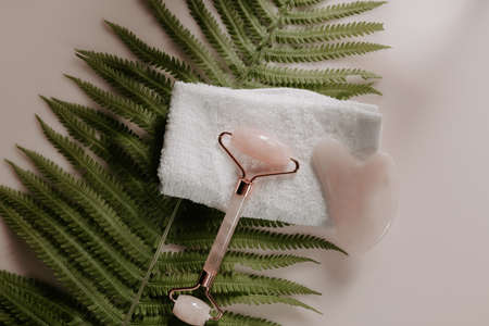 Pink gua sha and quartz face massage roller on a towel with a fern leaf. Beauty and selfcare concept. Top viewの写真素材