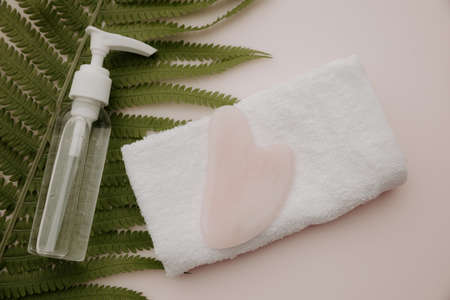 Gua sha massage scraper and beauty product with a fern leaf on a pink backgroundの写真素材