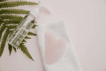 Pink gua sha, essence in a bottle and fern leaf on pink tableの写真素材