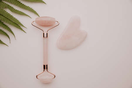 Roller and gua sha massage scraper close-up with a fern leaf on a pink background. Top viewの写真素材