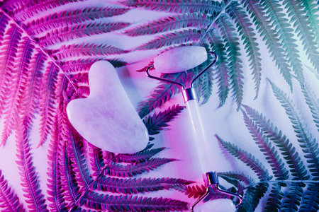 Gua sha and massage roller on a fern leaf close-up in neon lightの写真素材