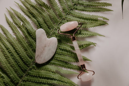 Massage roller and Gua sha massage scraper on a tropical leaf. top view.の写真素材