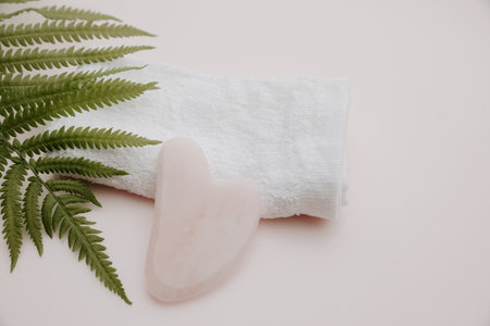 Gua sha on a towel and fern on a pink background. skincare concept.の写真素材