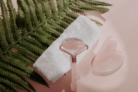 Face massage tools on a fern leaf. Facecare concept. Leafs shadow on a pink backgroundの写真素材