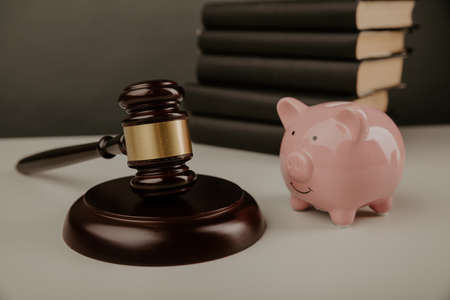 A concept of legal expenses. Piggy bank and gavel with books in lawyer officeの写真素材