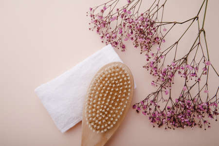 Wooden body massage brush on a pink backgorund. Scin care conceptの写真素材