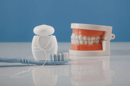 Oral hygiene theme. Plastic model of jaw and dental care products close-upの写真素材