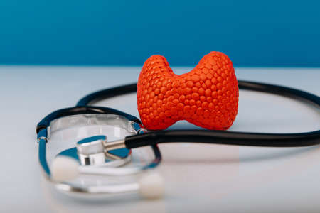 Model of thyroid gland and stethoscope are on doctors table close-up. Health care conceptの写真素材