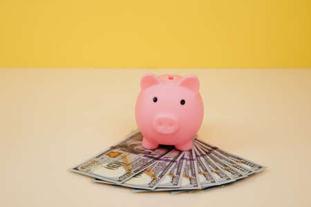 Savings and finance them. Pink piggy bank on dollar banknotesの写真素材