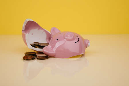 Broken piggy bank with coinsの写真素材