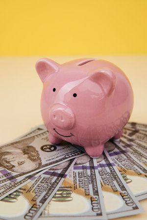 Ceramic piggy bank with dollar banknotes. Vertical imageの写真素材