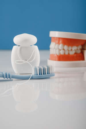 Model of a human jaw with toothbrush and dental floss on a blue background. Vertical image. Oral...
