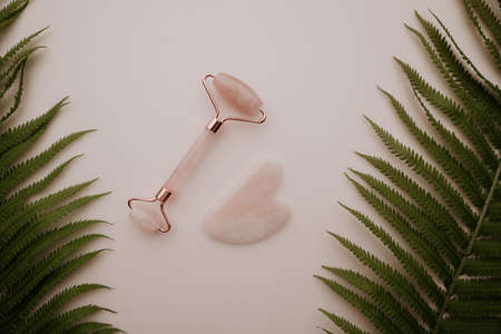 Pink gua sha and quartz face massage roller and fern leaves on pink background. Top viewの写真素材