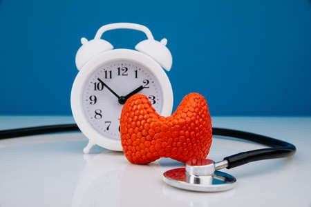Disease prevention concept. Plastic model of thyroid, stethoscope and alarm clock on doctors tableの写真素材