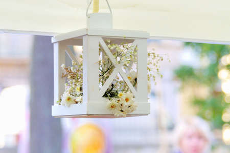 Flowersの写真素材