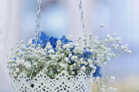 Flowersの写真素材