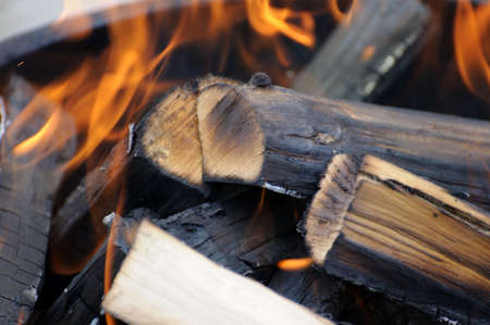 Dry wood which burn brightly.