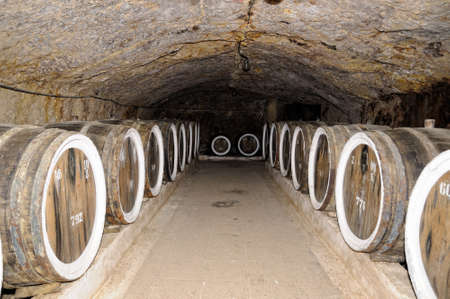 Barrels of wine in the cellar.の写真素材
