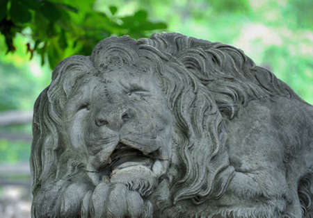Lion statue in the center of Lviv.の写真素材