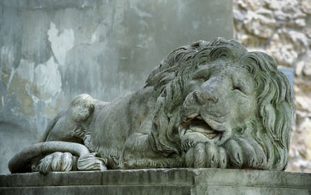 Lion statue in the center of Lviv.のeditorial素材