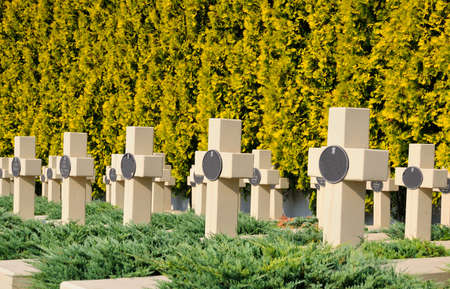 Old statue in Lychakiv Cemetery in Lviv, Ukraineのeditorial素材