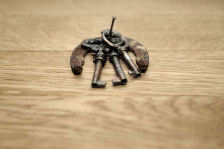 Vintage golden key and horseshoeの写真素材