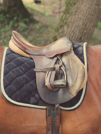Detail of a horse saddle, horizontal shot.の写真素材