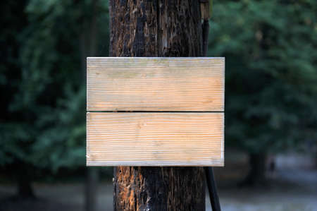 Wooden sign on the treeの写真素材