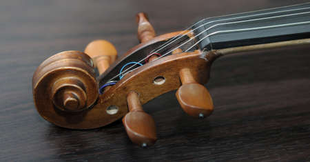 Detail of violin on dark background closeupの写真素材
