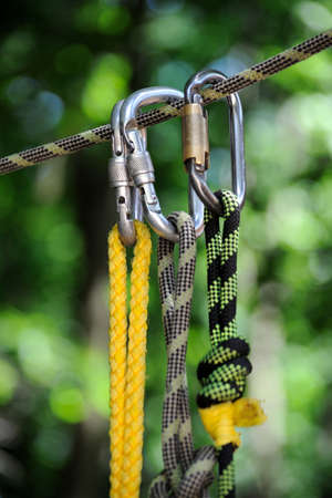 Climbing sports image of a carabiner on a rope in a forestの写真素材