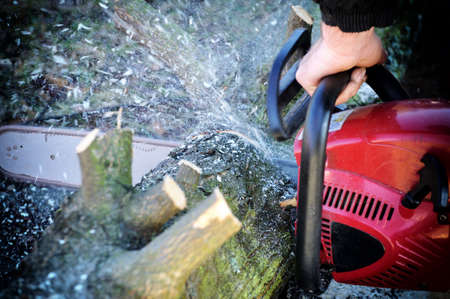 Worker cutting wood with a chainsaw .
