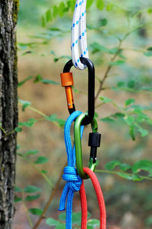 Carabiner with rope on nature background. Climbing uquipment.Climbing sports image of a carabiner on...
