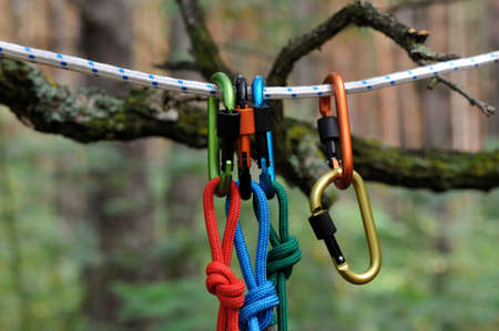 Carabiner with rope on nature background. Climbing uquipment.Climbing sports image of a carabiner on...