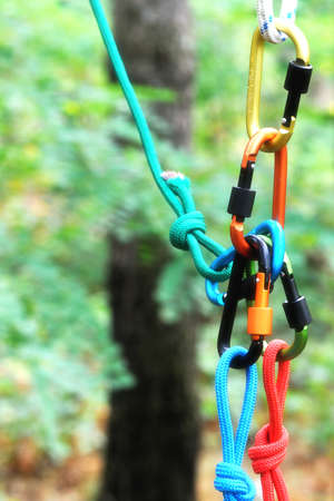 Carabiner with rope on nature background. Climbing uquipment.Climbing sports image of a carabiner on a rope.の写真素材