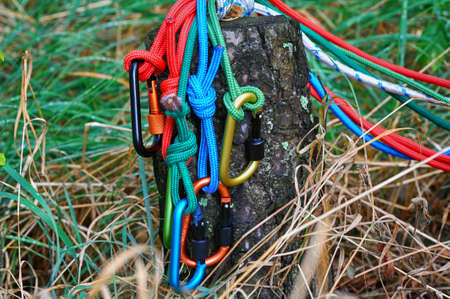 Carabiner with rope on nature background. Climbing uquipment.Climbing sports image of a carabiner on a rope.の写真素材