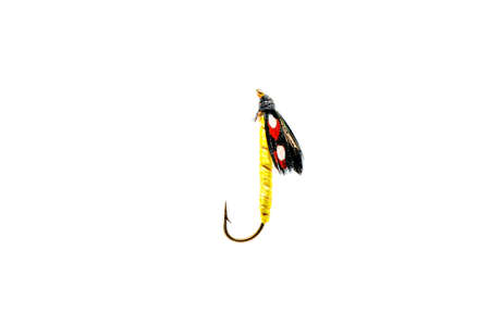Close-up of a colorful fishing fly on a white background.