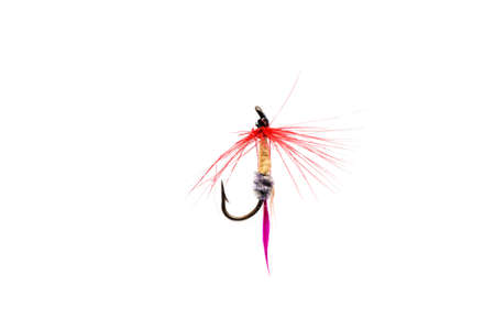 Close-up of a colorful fishing fly on a white background.