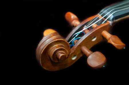 Violin musical instrument close up isolated on black