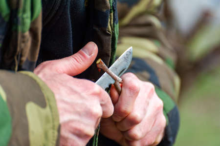 Season pruning of trees. The farmer looks after the orchard.の写真素材