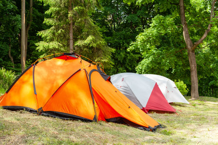 Camping and tent under the forest. Camping tent in a camping in a forestの写真素材