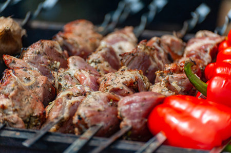 Fresh shish kebab on skewers is fried on the grill. Shish kebab roasting on the grill. BBQ party. Close-up.の写真素材