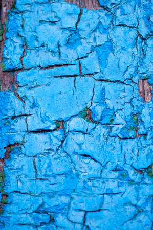 Texture of the old cracked paint. background for designers.の写真素材