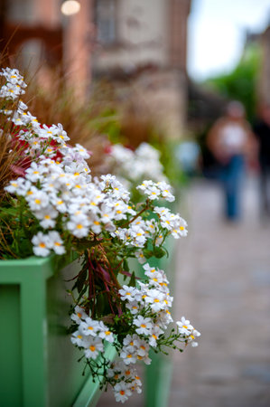Flowers on the terrace. Street cafe terrace with flowers.の写真素材