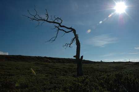 Russian Northの写真素材