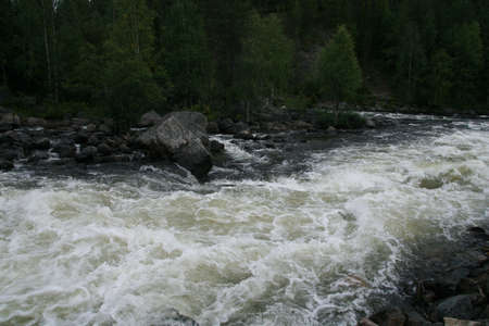 rapid mountain river in the North of Russia a powerful rushing stream of water in the forestの写真素材