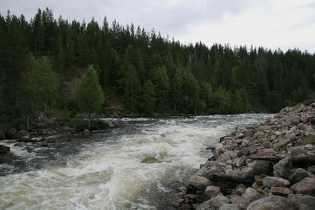 rapid mountain river in the North of Russia a powerful rushing stream of water in the forestの写真素材