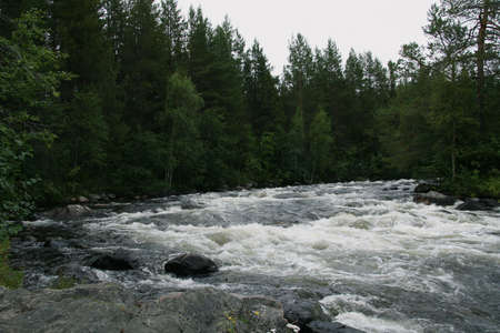 rapid mountain river in the North of Russia a powerful rushing stream of water in the forestの写真素材