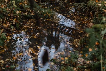 Autumn forest. A reflection of a couple standing on a bridge in a forest swamp. Fallen foliage on the water.の写真素材