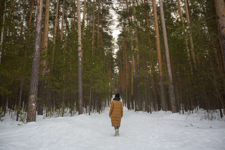A young girl in a brown jacket and black hat walks in the woods with tall winter trees. High quality...